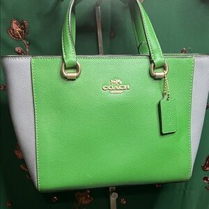 Coach Alice Satchel in Colorblock